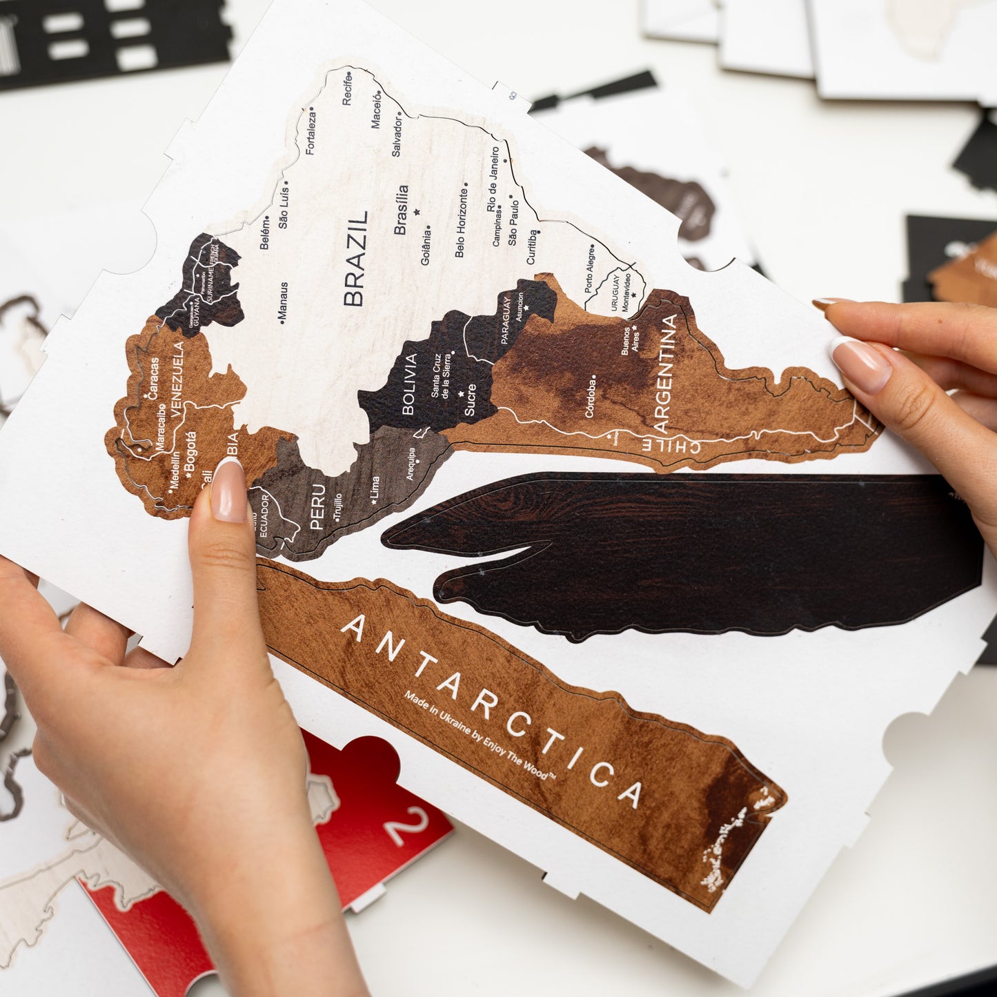 Wooden World Map - Wood Tone