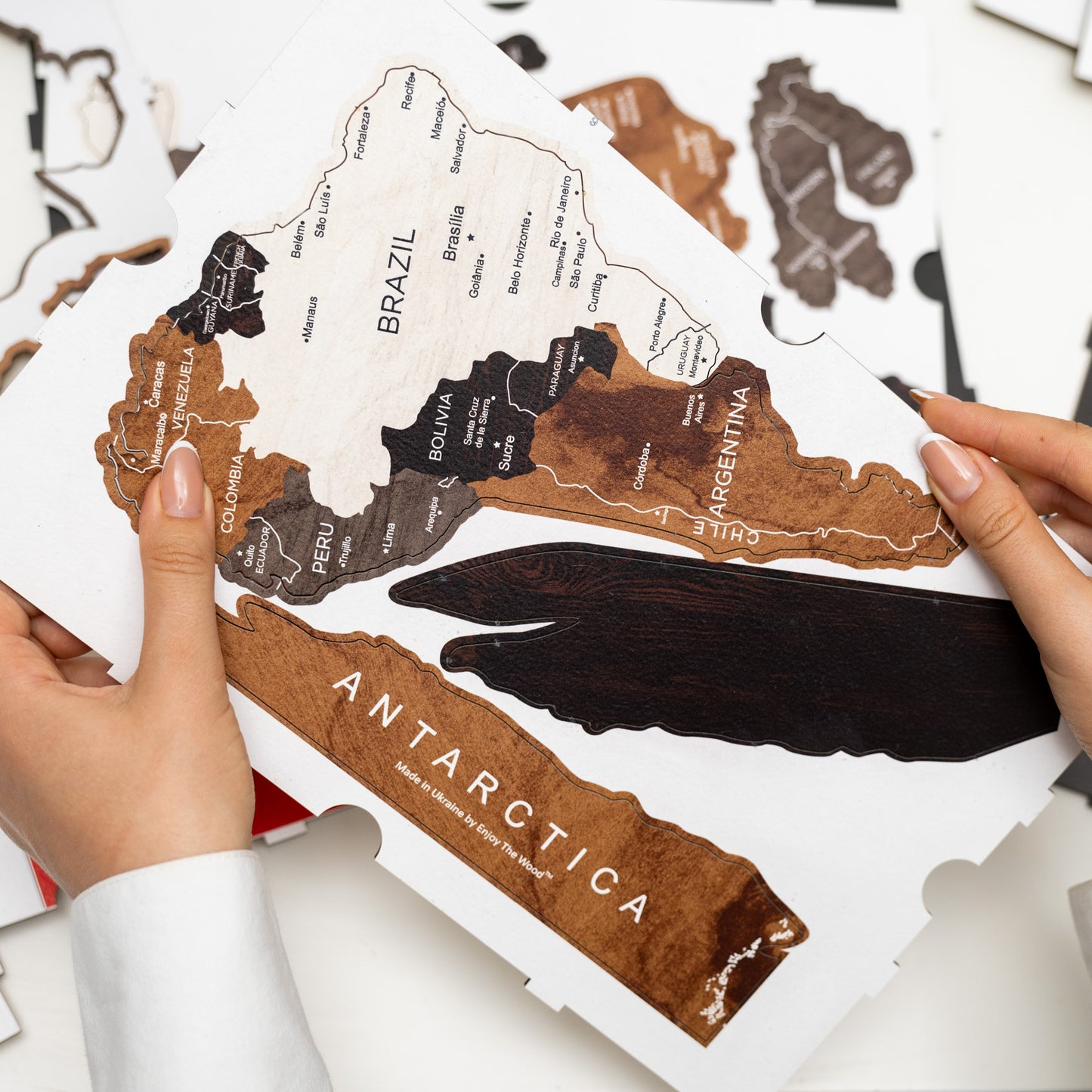 Wooden World Map - Wood Tone