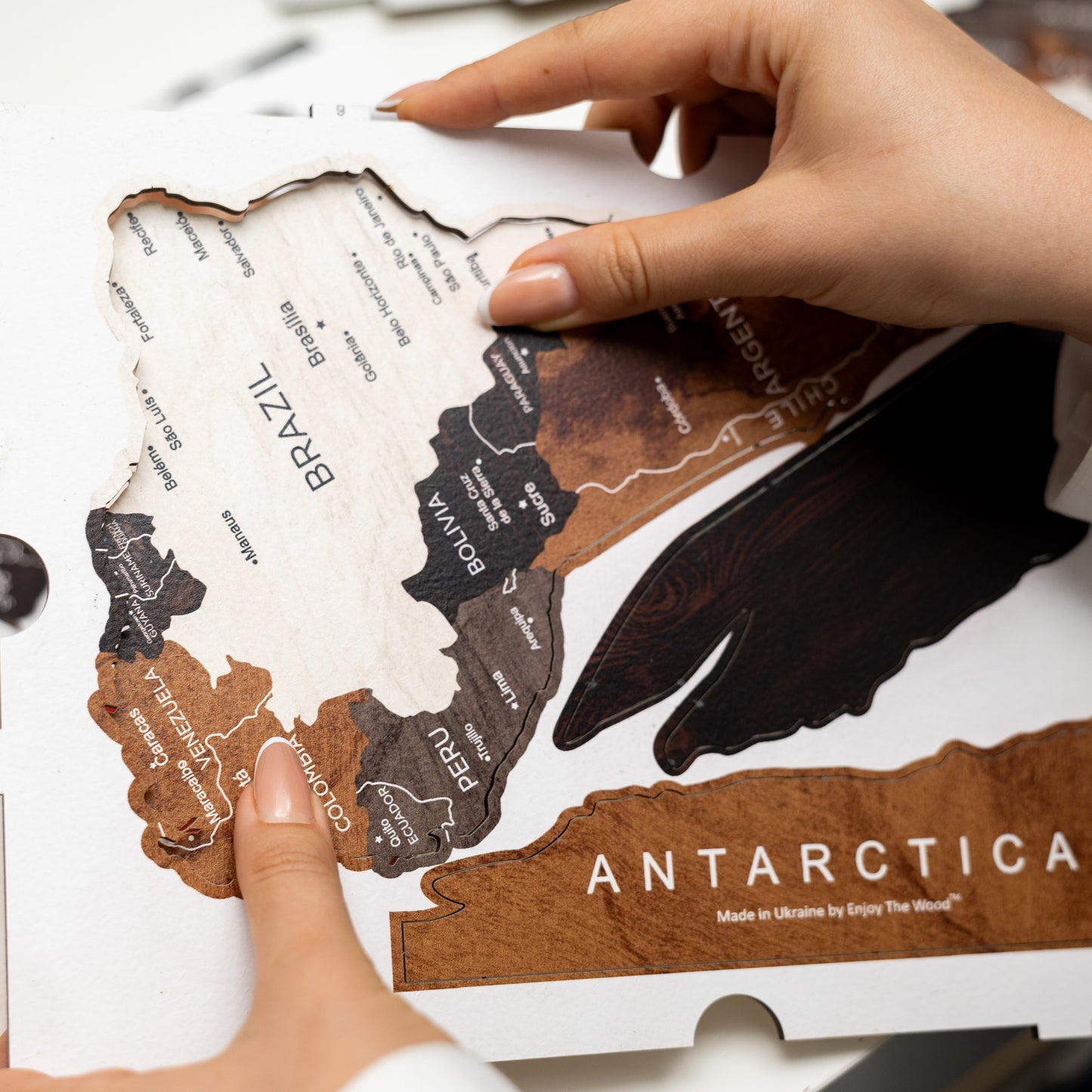 Wooden World Map - Wood Tone