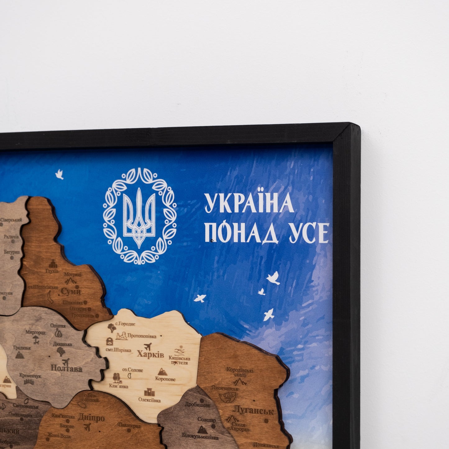 Ukraine Wooden Map On Panel - Multicolor UA