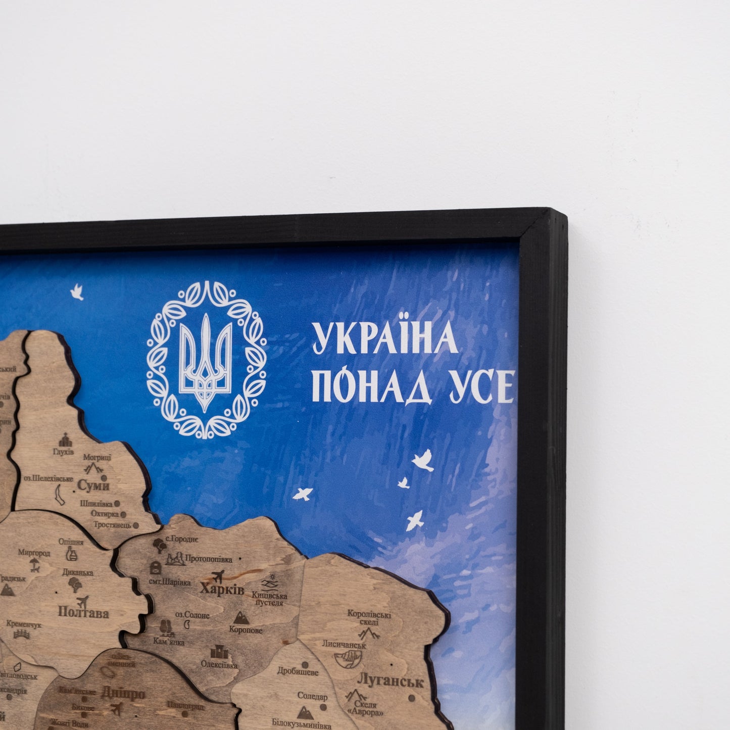 Ukraine Wooden Map On Panel - Terra UA