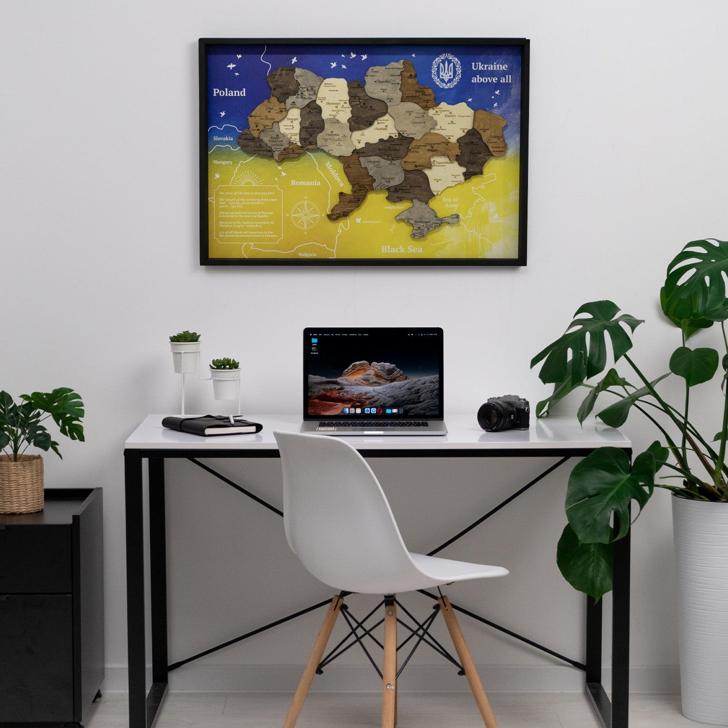 Ukraine Wooden Map On Panel - Multicolor