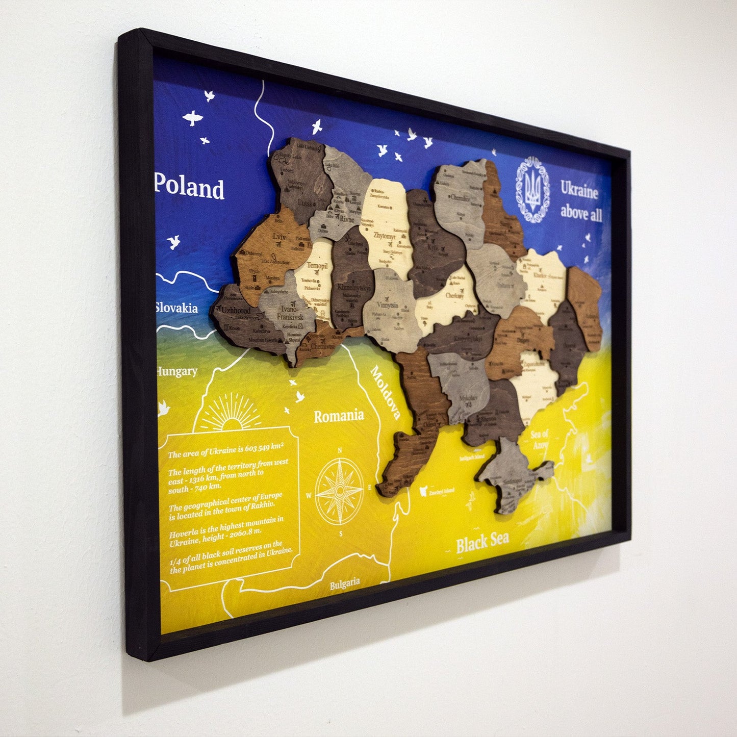 Ukraine Wooden Map On Panel - Multicolor