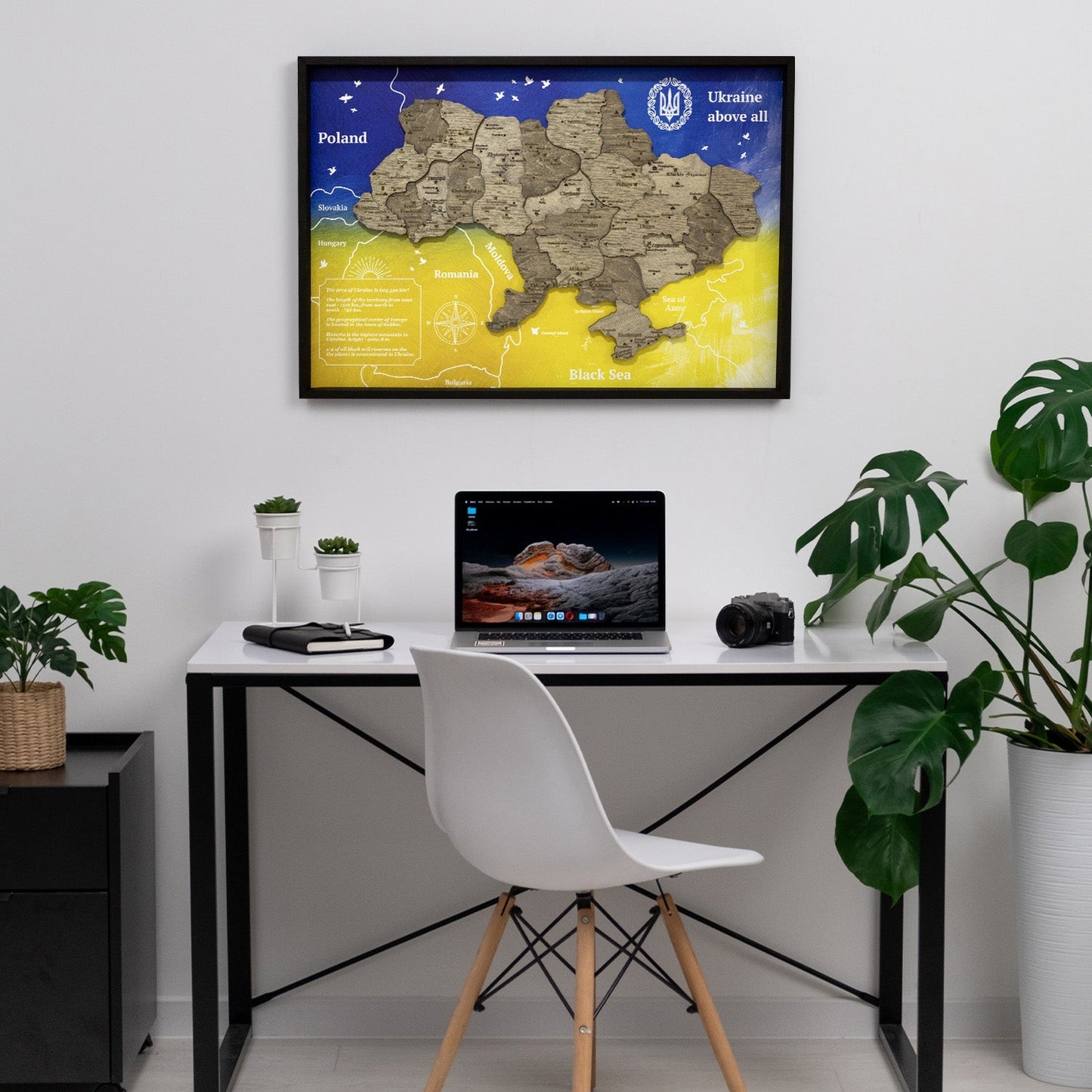 Ukraine Wooden Map On Panel - Terra