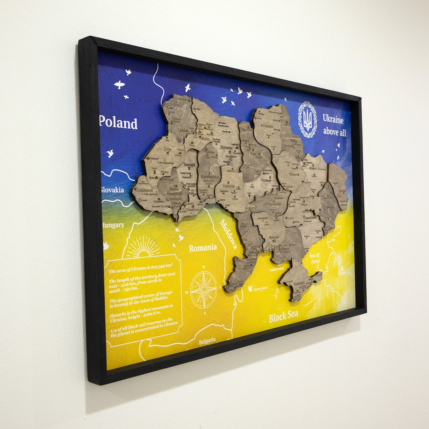 Ukraine Wooden Map On Panel - Terra