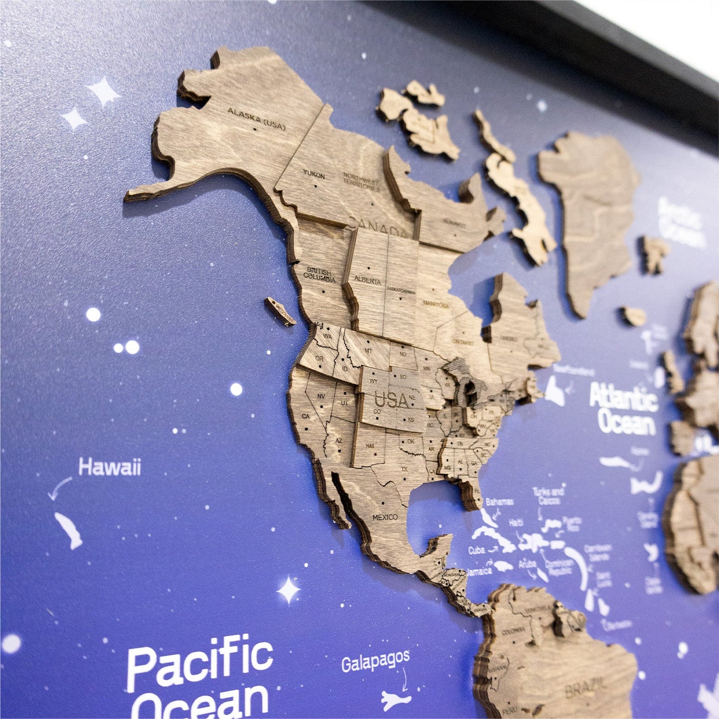 3D Wooden World Map on Panel - Dark Walnut Space