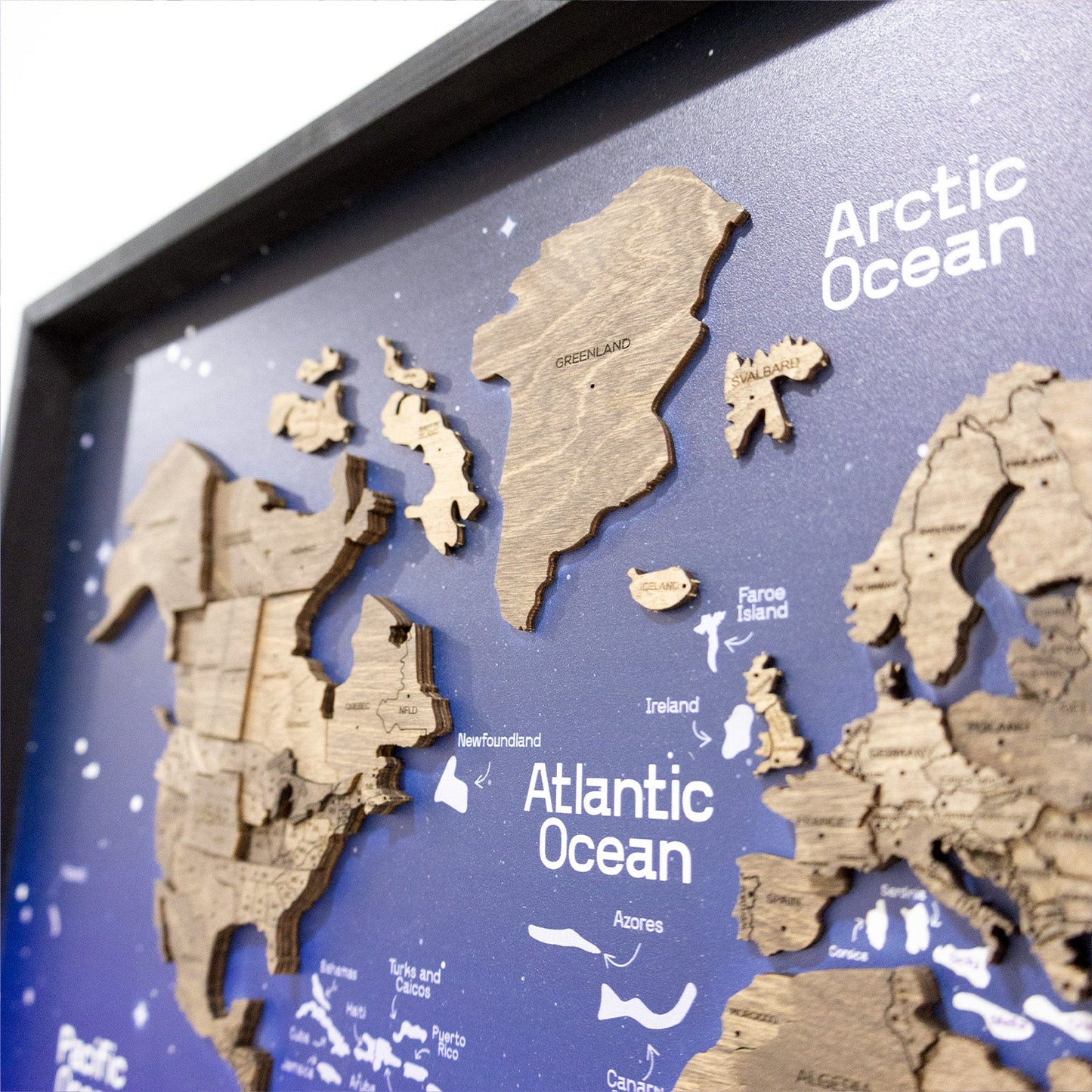 3D Wooden World Map on Panel - Dark Walnut Space